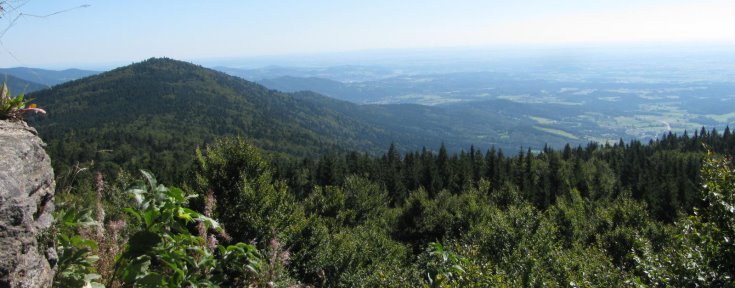 Hirschenstein Aussichtsturm - Ausflugsziele Bayerischer Wald